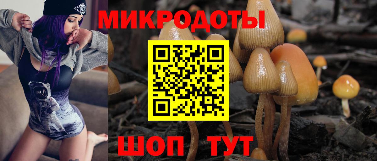 Псилоцибиновые грибы Cubensis Клин